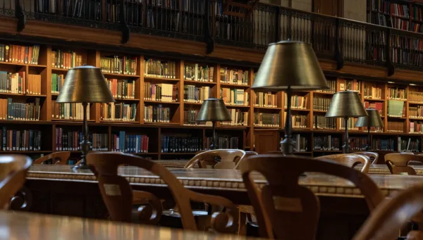 IB Specialists in Online Tutoring and Guidance